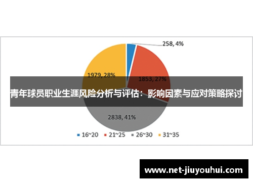 青年球员职业生涯风险分析与评估：影响因素与应对策略探讨